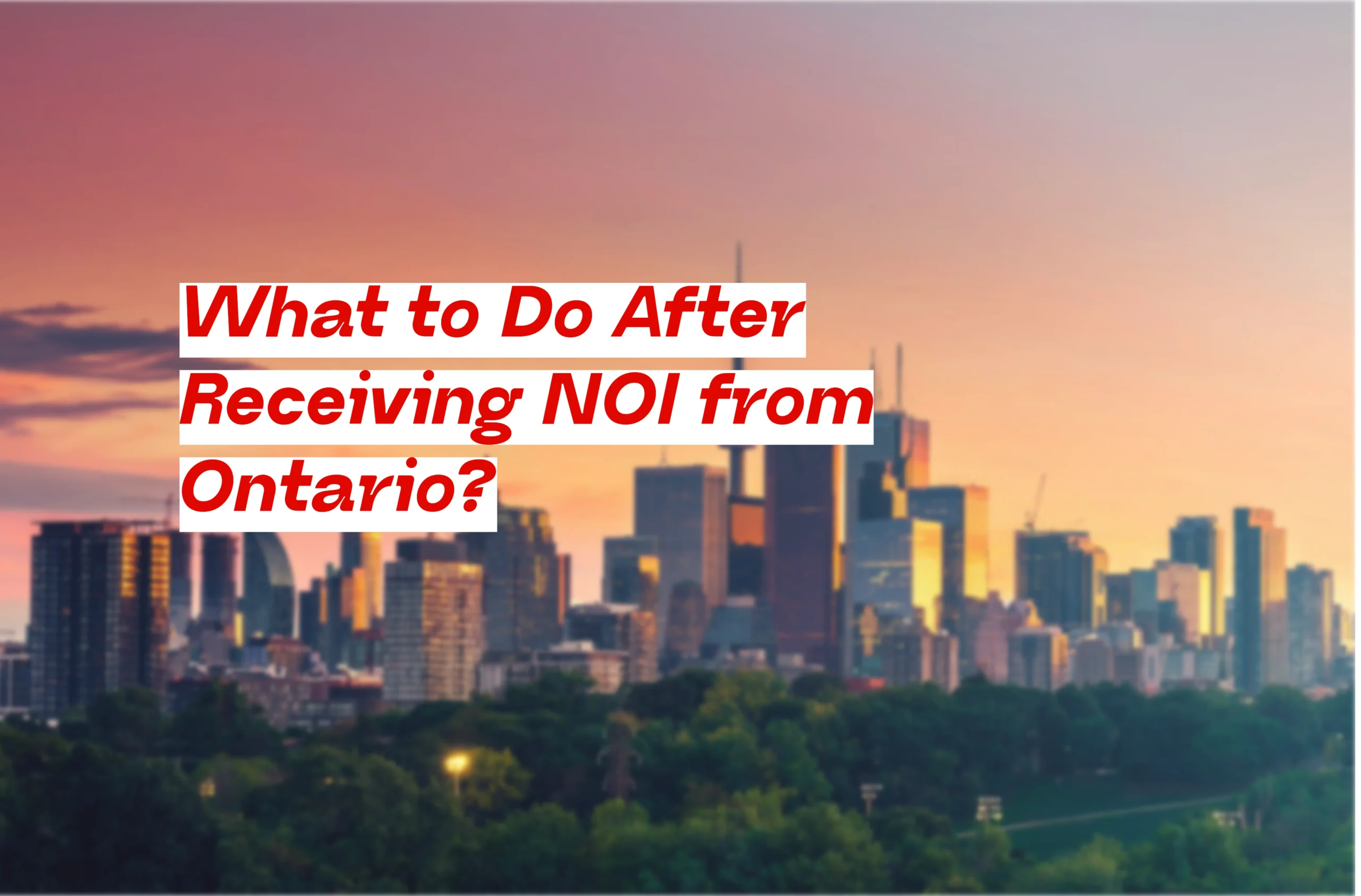 What to Do After Receiving NOI from Ontario?